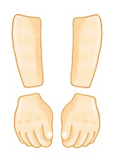 Körper-Unterarm-Hand.pdf
